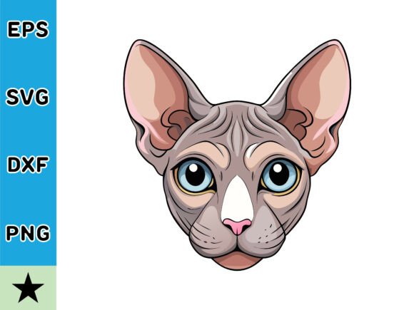 Adorable Cute Sphynx Cat Illustration Review